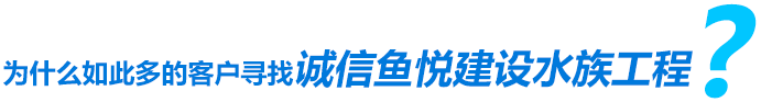 為什么如此多的客戶尋找誠(chéng)信魚(yú)悅建設(shè)水族工程